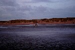 2007 11 25 camber plage 029